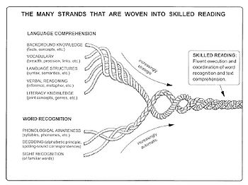 Scarborough’s Reading Rope (2001)