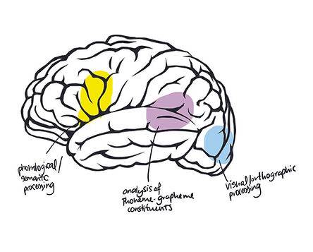 The nature of the thing children use to learn literacy